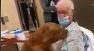 Cagnolone impazzisce d’amore non appena rivede il suo amato proprietario