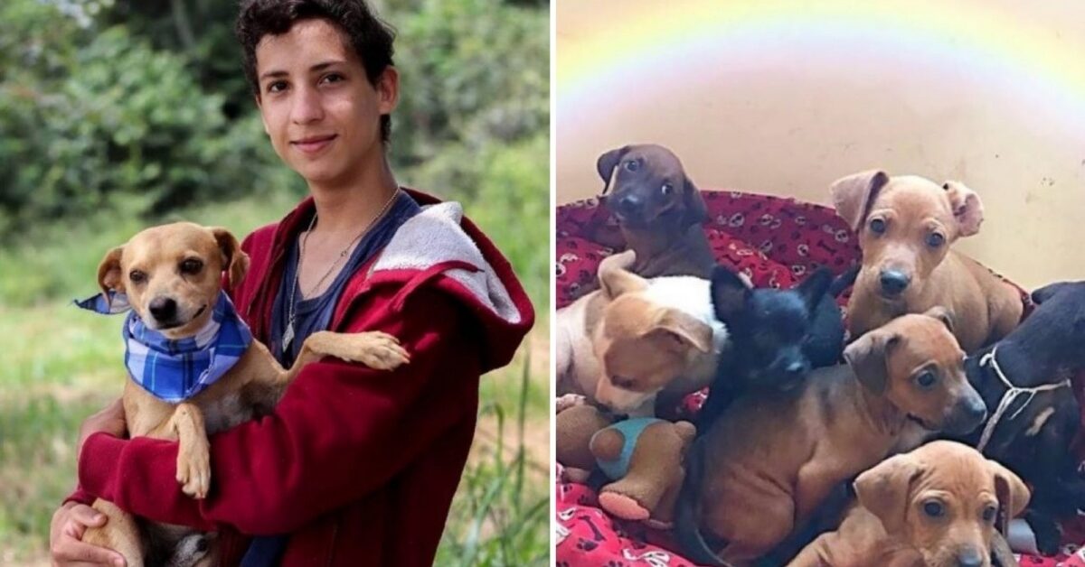 Ragazzo di 17 anni realizza il suo sogno di aprire un rifugio; ha 22 ...