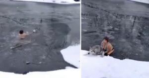 Donna di 65 anni si tuffa in un lago ghiacciato per salvare un cane che non poteva uscire