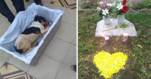Banda e messa danno l’ultimo addio a una cagnolina randagia: era amata da tutti
