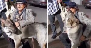 “Posso tenerlo?”: il video di Johnny Depp che gioca con un cucciolo randagio