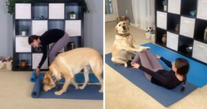 Magnus, l’adorabile cucciolo che trionfa su TikTok facendo posizioni yoga (VIDEO)