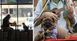 15 Foto emozionanti di cani e dei loro proprietari