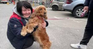 Famiglia Ucraina può restare insieme al proprio cane grazie alla bontà di un ragazzo