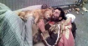 Senzatetto dorme con un cane abbracciato a terra, quell’angelo non lo deluderà mai