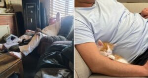 15 Foto di animali domestici che sono qui per restare, nonostante all’inizio ai loro proprietari non piaceva l’idea