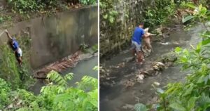Cucciolo di cane immobile nel ruscello viene salvato da un giovane ragazzo (VIDEO)