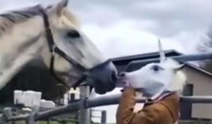 Cavallo si spaventa e scappa; la sua umana gli ha fatto uno scherzetto (VIDEO)