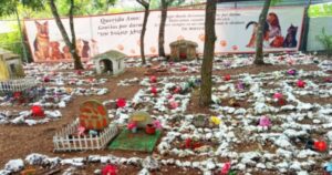 I proprietari degli animali deceduti in Messico ora li ricorderanno celebrando il giorno dei morti