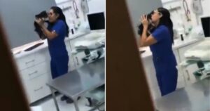 Telecamera riprendere un veterinario con un gattino (VIDEO)