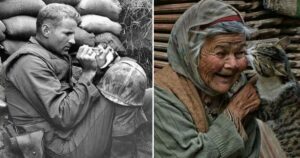 15 Foto di persone fotografate mentre dimostravano il loro amore per i gatti