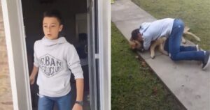 Ragazzo si riunisce con il suo cagnolone scomparso da 8 mesi (VIDEO)