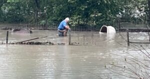 Signore entra in acqua per salvare un cane e questo lo ringrazia con un abbraccio