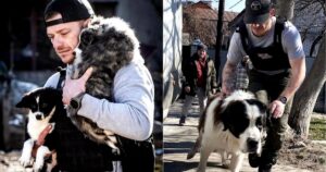 Il veterano dell’esercito britannico rischia la vita salvando animali domestici abbandonati in Ucraina