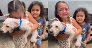 Bambina non riesce a smettere di piangere quando il suo cucciolo smarrito viene ritrovato