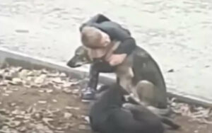 Bambino si ferma ad abbracciare dei cuccioli randagi pensando che nessuno lo stesse guardando (VIDEO)