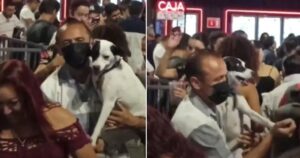 Cucciolo di cane accompagna il suo proprietario in discoteca e prendono il controllo della pista da ballo (VIDEO)