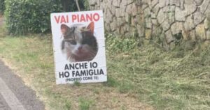 cartelli per sensibilizzare gli incidenti in strada degli animali