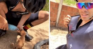 ciclista si ferma per salvare 5 cuccioli da una buca