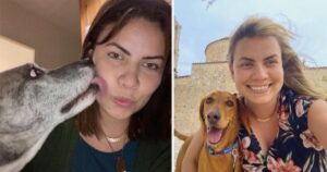 Donna gira il mondo prendendosi cura di cuccioli animali domestici di altre famiglie