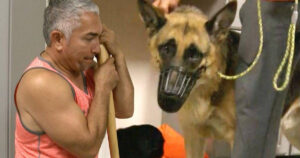 Addestratore di cani rimuove la museruola a un cucciolo e mostra la sua vera personalità