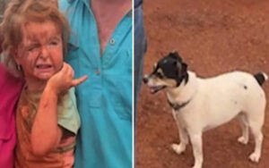 Bimba di tre anni scomparsa di casa viene ritrovata insieme al suo cucciolo di cane