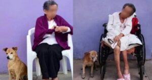 la storia di un cucciolo e la sua proprietaria invecchiati insieme