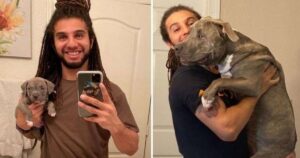 12 Foto che provano che l’amore tra umani e animali è più forte della colla