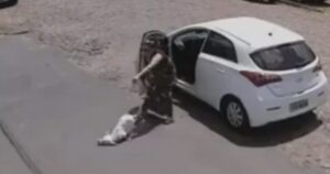 Donna ripresa mentre abbandona un cucciolo di cane disabile per strada (VIDEO)