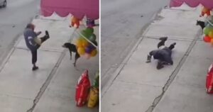 Uomo cade mentre prova a dare un calcio a un cagnolino per strada