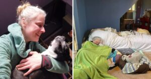 donna apre una casa di cura dedicata al suo cane