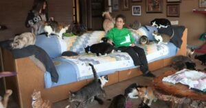 Donna vive all’interno di una casa con non meno di 1.000 gattini