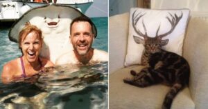 15 Foto di animali che sono stati catturati nel momento giusto