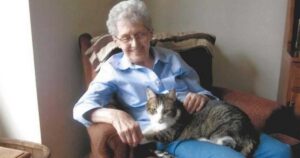Anziana e il suo gattino perdono la vita a poche ore di distanza l’uno dall’altro