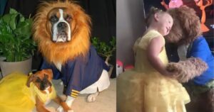 Bambina e il suo cane si travestono per ricreare la danza di “la bella e la bestia” (VIDEO)