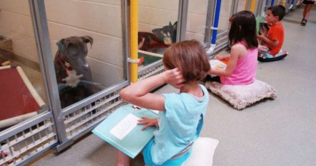 bambini leggono ai cani in un rifugio