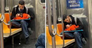 Ragazzo fotografato mentre allattava un cucciolo randagio su un treno: la scena toccante ha commosso tutti