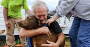 Uomo ha portato il suo cane a sopprimere con le lacrime agli occhi perché non aveva soldi per il trattamento