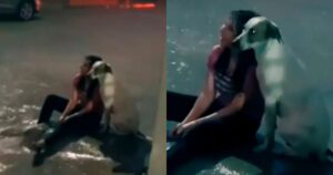 Cagnolino fa compagnia sotto la pioggia a una donna e la consola(VIDEO)