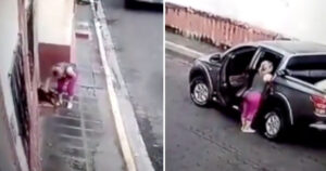Donna vede un cucciolo in difficoltà per strada e ferma la sua auto per aiutarlo senza sapere di essere registrata (VIDEO)