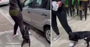 Cucciolo si aggrappa alla gamba di un estraneo e lo accompagna a lavoro (VIDEO)