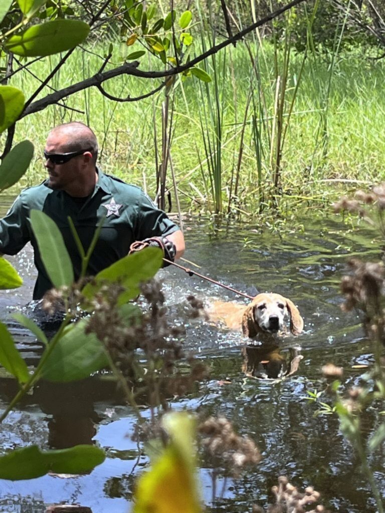 agente salva cane in una palude