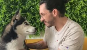 La cagnolina esuberante Luna ha il complesso di Napoleone e il suo umano la ama così com’è (VIDEO)