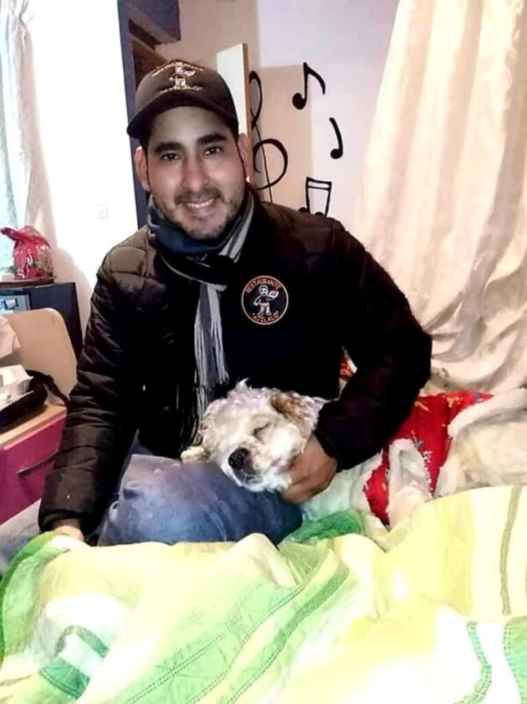 Cane randagio viene sfamato da ristoratore