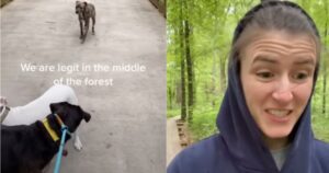 donna adotta un cane randagio nel bosco