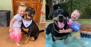 Bambina e il suo Rottweiler cantano un duetto meraviglioso (VIDEO)