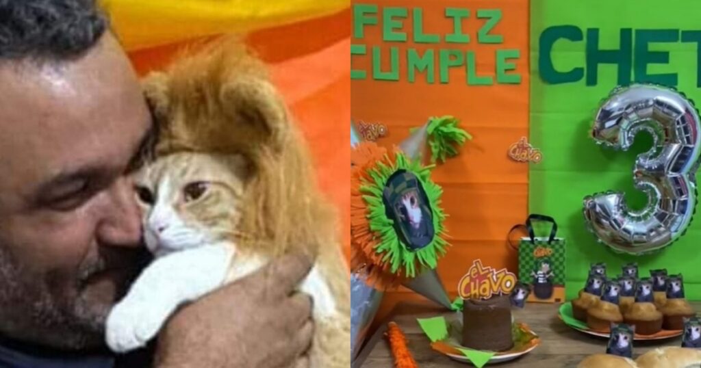 Uomo festeggia compleanno del gatto vestito da leone