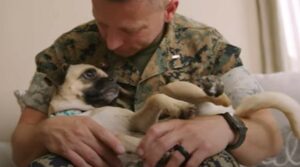 La cagnolina affettuosa Lily salva la vita ogni giorno al suo bisognoso proprietario (VIDEO)