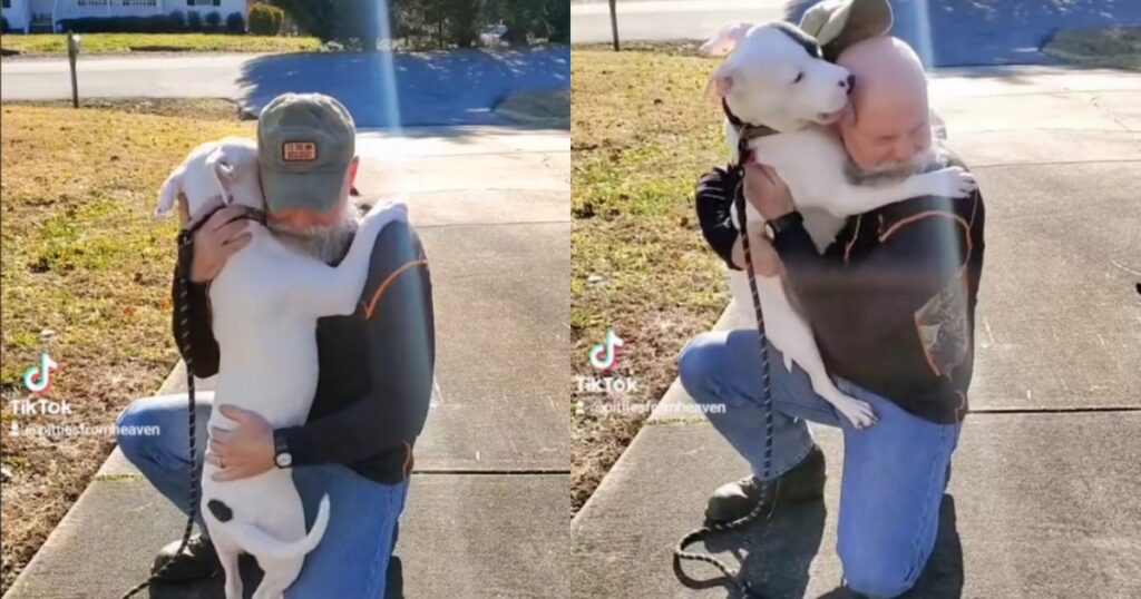 cagnolina abbraccia uomo e viene adottata