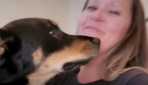 La cagnolona Zara è finalmente felice; la sua dolce e commovente storia (VIDEO)